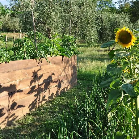 Podere Il Guazzino
