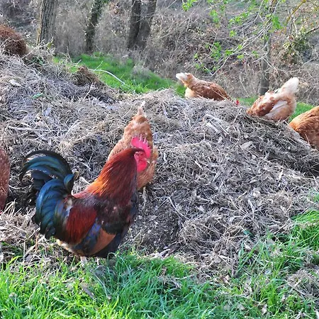 Podere Il Guazzino * Sinalunga